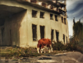 Кого только не встретишь в заброшках))) / ...