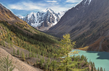 Autumn is coming soon in the mountains ....... / В горах.