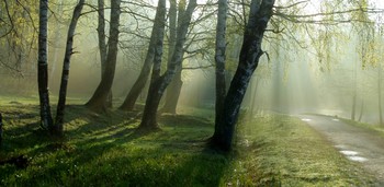 &nbsp; / Петербург Шуваловский парк. Апрель