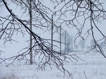 Предзимье / Ровенская область. 2007 г.