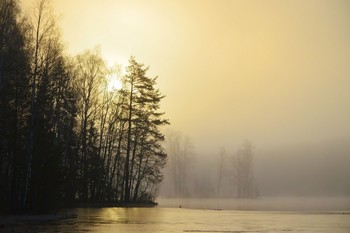 Утром туманным..... / Петербург. Осиновая Роща. Апрель