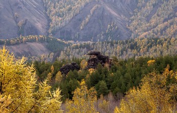 Краски осени. / Заповедник Столбы.