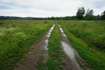 Дорога в осень / Luszhki-village, Istra-district, Moscow region, Russia