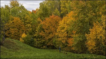 Краски / осени