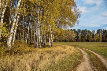 &nbsp; / окрестности с.Ильинское,Татарстан