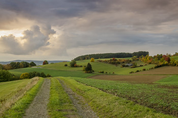 Краски осени. / осень,краски осени,красота