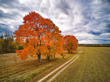 Осень в Наднемане / https://max-helloween.livejournal.com/175904.html