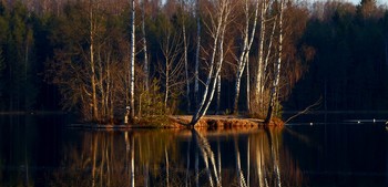 На восходе....... / Петербург. Осиновая Роща. Апрель