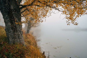 &nbsp; / осень,октябрь,туман