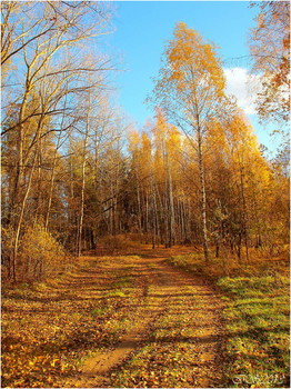 по осенней дороге / ***