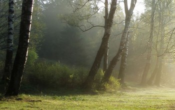 Утреннее.......... / Петербург. Шуваловский парк. Апрель