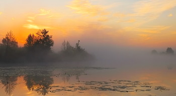 Утренний пейзаж. / Туман на озере Сосновое перед восходом. Юго-восток Московской области, недалеко от посёлка Белоомут.