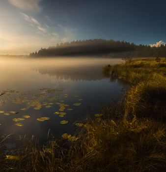 Лунная ночь на берегу озера / Туманное полнолунье, чарующие сны.
Из фотопроекта «Магия Ленинградской области».