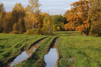 Полевая дорога. / Осеннее утро после дождя.