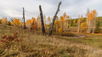 Березки / Самарская обл., 6 октября 2019.