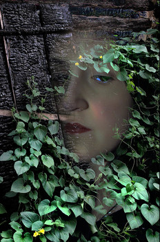 "Прошлое живёт в нас..." / Курган, первая улица города - Климова /бывшая "Береговая"/. Как-то пошёл в том районе улицы, где не был давно, и... Это стало мотивом фотографии.