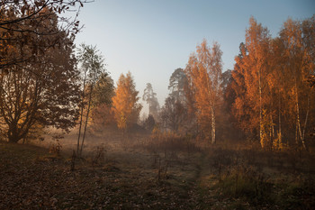 &nbsp; / утро, осень, Фрязино, Гребнево