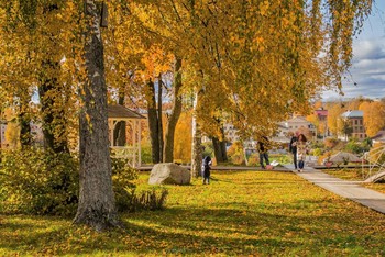 Осенний солнечный денек / ***