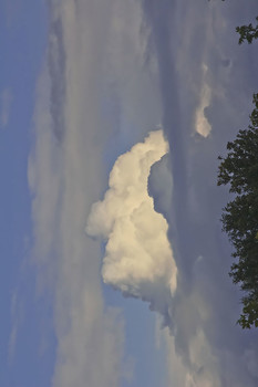 Человеческие образы в облаках / Человеческая голова смотрит в небо.