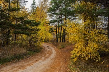 &nbsp; / п.Ильинское,Татарстан