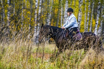 По осенней тропе. / ***