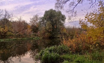 Октябрьская природа на реке / Октябрьская природа на реке