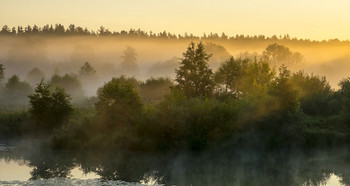 Утренний пейзаж. / Летнее, туманное утро у озера Сосновое.
