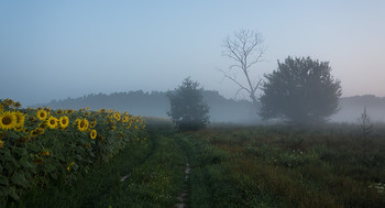 По ранковій дорозі. / 27.07.2019.