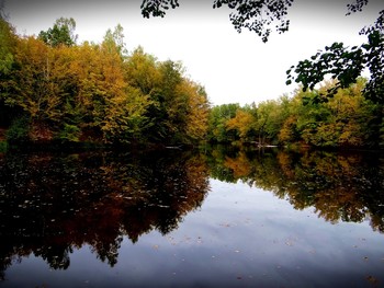 Октябрь во всей своей красе / Осень, лесной водоём. природа, отражение