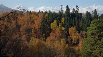 Октябрь во всей своей красе / Осень в Архызе