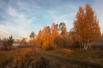 &nbsp; / утро, осень, Фрязино, Гребнево