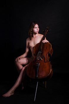 The Violin / ***