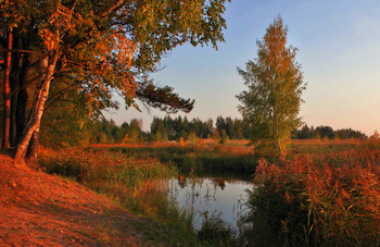 Конец сентября. / Озерцо возле Толгского монастыря.