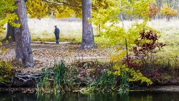 Осень жизни, / как и осень года,
надо, не скорбя, благословить