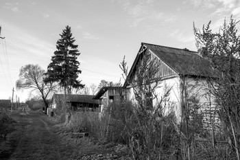 Деревенская улица. / Деревня в Орловской области.