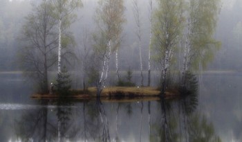 В тумане утреннем......... / Петербург. Осиновая Роща. Май