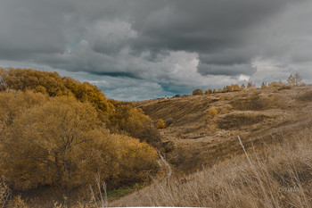 Тульская область / осень во всей красе