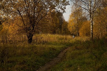 Осенней тропой / ***