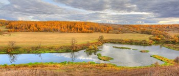 Посреди осени / Тульская обл.