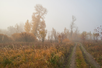 &nbsp; / осень,дорога, туман