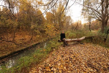 Осень / ***