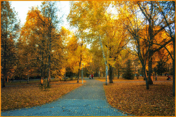Осень / Парк#листва#деревья