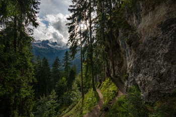 Der Bergwald - Горный лес / Allgäuer Wanderweg