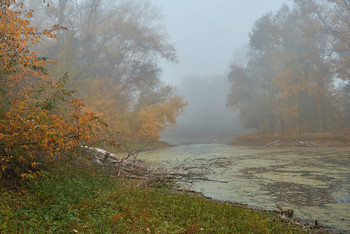 &nbsp; / осень, туман,озеро