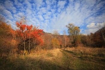 Осенью в горах / Алматы