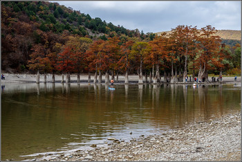 Кипарисовое озеро / В 20-ти километрах от Анапы в долине реки Сукко есть озеро, где растут болотные кипарисы - замечательно красивое место. Как и лиственница, болотный кипарис осенью сбрасывает хвою, поэтому весной и летом деревья зелёные, а осенью рыжие.