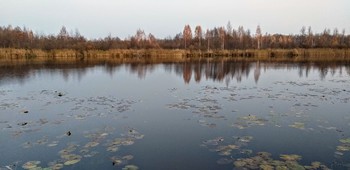 ВЕЧЕР В ОКТЯБРЕ / Какая дивная пора!
Деревья в золото одеты,
А это, вроде бы, примета,
Что быть дождям уже пора.
Уже октябрь за окном,
Но он нас радует теплом!
И осень, солнышком согрета,
Нам снова дарит бабье лето!