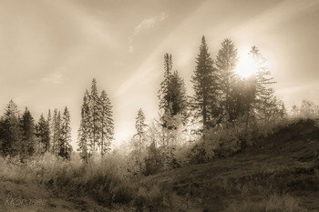 Перелесок / Осень