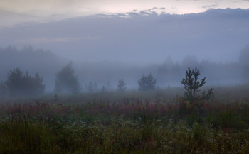 Там за туманами / Вечерние прогулки