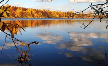 Листья дождём золотым. / Ветер осенний в лесах подымается,
Шумно по чащам идёт,
Мёртвые листья срывает и весело
В бешеной пляске несёт.
Только замрёт, припадёт и послушает,
Снова взмахнёт, а за ним
Лес загудит, затрепещет — и сыплются
Листья дождём золотым.
Веет зимою, морозными вьюгами,
Тучи плывут в небесах…
Пусть же погибнет всё мёртвое, слабое
И возвратится во прах!

И.Бунин